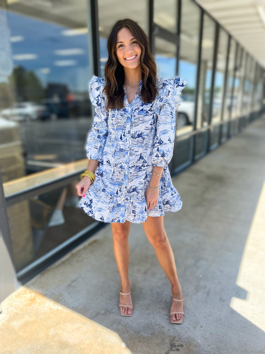 Blue Toile Mini Dress